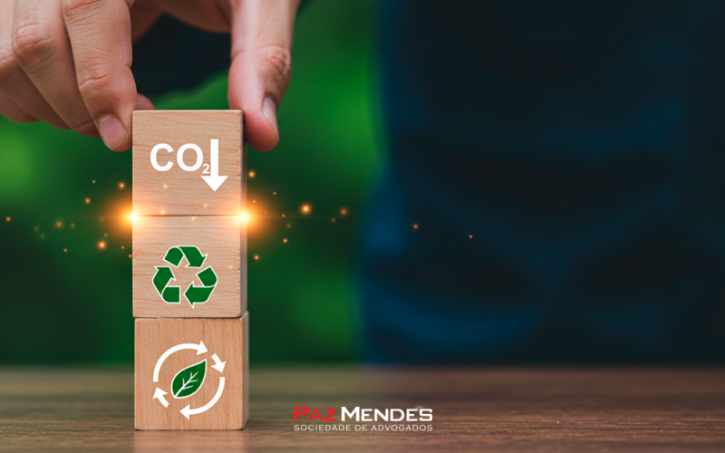 Análise de nulidades em autos de infração ambiental: Aspectos formais e Materiais Análise de nulidades em autos de infração ambiental: Aspectos formais e Materiais