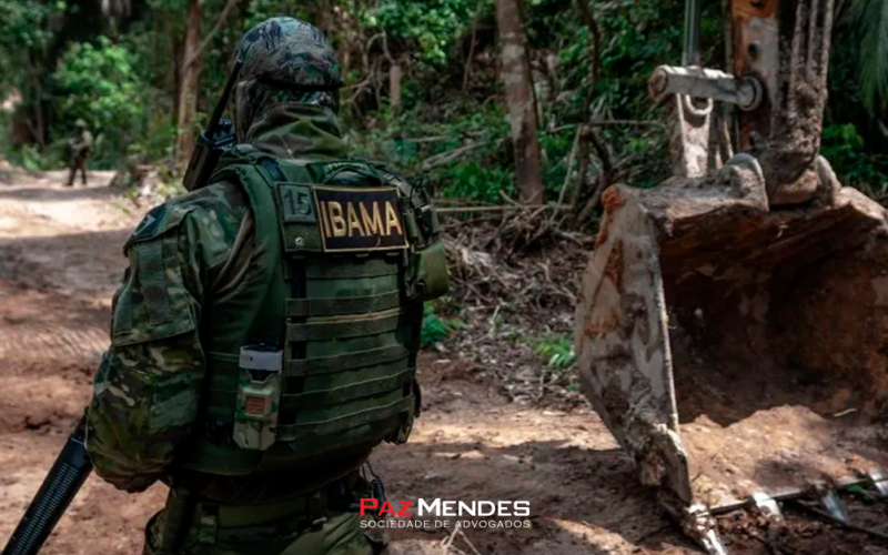 O Papel do IBAMA e dos órgãos Estaduais na fiscalização e autuação ambiental O Papel do IBAMA e dos órgãos Estaduais na fiscalização e autuação ambiental
